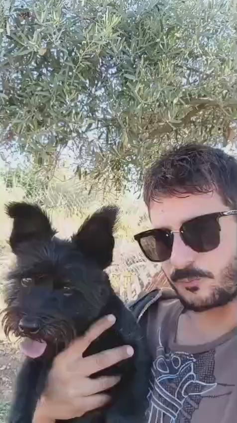 Cargar video: 